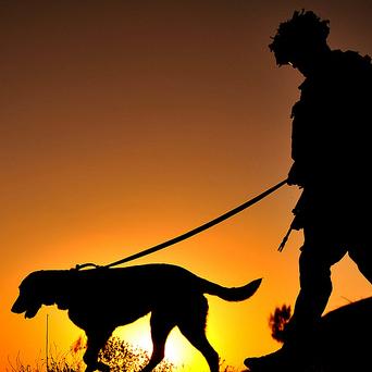 Military Dog Handlers 